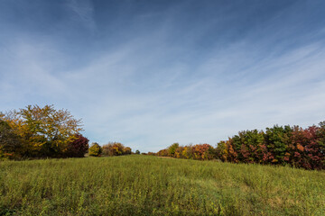 Fototapeta premium high meadow and colorful trees in autumn with clouds