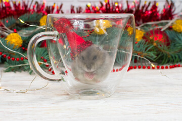 A Dzungarian hamster in a red Christmas hat sits in a transparent glass mug against the background of a New Year tree.