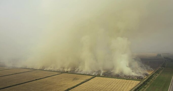 Controlled and prescribed agricultural field fire burns. Large burning area with a lot of smoke. Aerial drone wide shot at summer sunny day