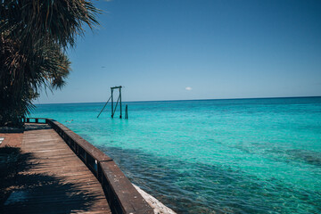The gantry heron island 