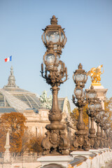 Fototapeta na wymiar Pont Alexandre III Paris France