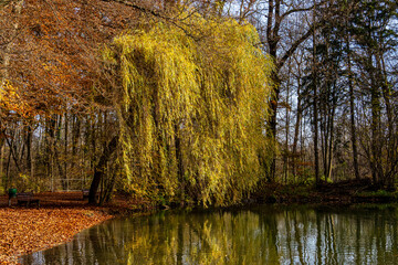 Golden autumn view in famous Munich relax place - Englischer Garten. Munich, Bavaria, Germany