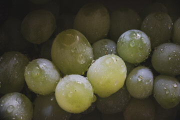 delicious fresh summer green grapes	
