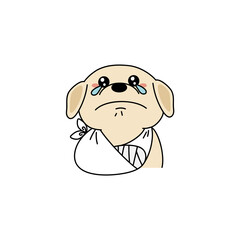 怪我をしたレトリバー犬