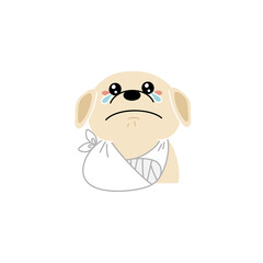 怪我をしたレトリバー犬