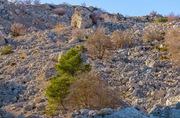 Scenic mountain view of landscape with blue sky