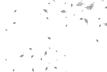 Light Silver, Gray vector doodle texture.