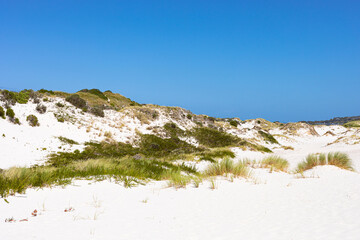 Coastal sand dune landscape of Fish Hoek, Cape Town