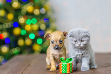 Couple of kitten and puppy sitting on the floor against the background of a christmas tree next to a small gift