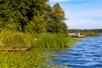 Panoramic view of Zegrzynskie Reservoir Lake and Narew river with reed and water vegetation coastline in Zegrze resort town in Mazovia region, near Warsaw, Poland