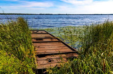 Panoramic view of Zegrzynskie Reservoir Lake and Narew river with abandoned molo at reed and water vegetation coastline in Zegrze resort town in Mazovia region, near Warsaw, Poland