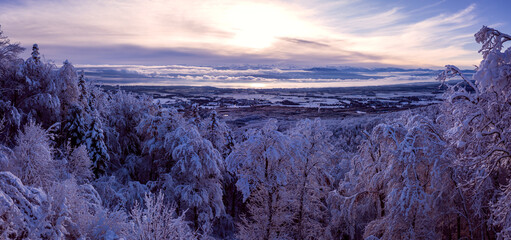 Panoramic view of snowy covered pine trees across a cold valley and lake Geneva to the high snow...