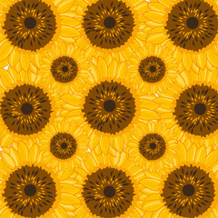 Decorative pattern from flower of the sunflower