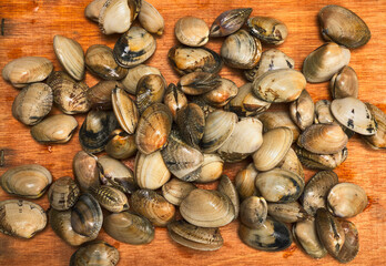 Tabla de madera con almejas babosas de las rías de Galicia