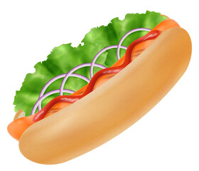 Hot dog with ketchup, lettuce and red onions isolated on white background. Vector illustration.