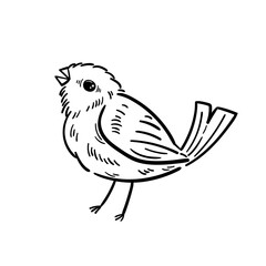 Hand drawn bird sitting. Cute animal. Logo monochrome design. Line art. Ink vector illustration. Isolated on white background.