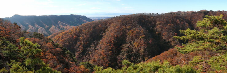 View from the ridge (late autumn / autumn leaves) (panorama) 栃木百名山・仙人ヶ岳の稜線から展望 (晩秋/紅葉)(パノラマ)