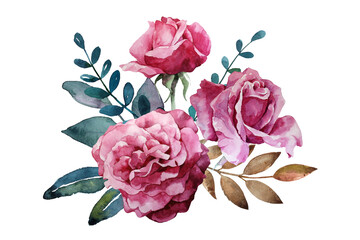 Watercolor flower bouquet. Handpainted pink roses with green leaves on the white background