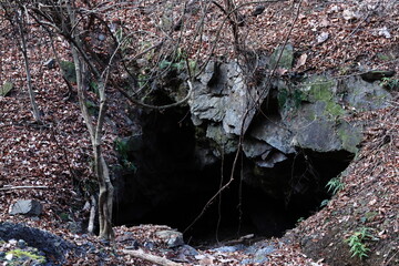 Manganese mine pit trace / マンガン鉱山の抗口跡 (栃木県・岩切鉱山)