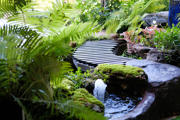 green leaves plant decorating in garden © 88studio