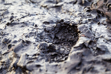 Fresh bootprint in the mud with a shallow fore and background and copy space