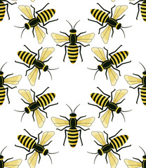 seamless pattern with wasps. Vector illustration
