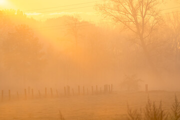 at sunrise whit mist