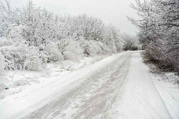 Winter road in the snowy forest.