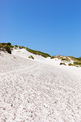 Coastal sand dune landscape of Fish Hoek, Cape Town