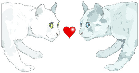 Chats amoureux : Saint-Valentin