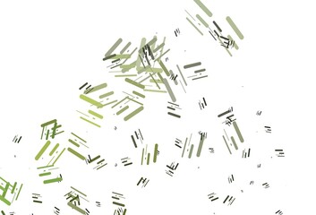 Light Green vector backdrop with long lines.