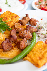 meat shish kebab in a plate with appetizers