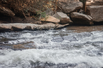 Beautiful summer landscape. Mountain river with stone banks flows among the green forest