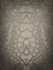 Isolated  distressed wall plaster background