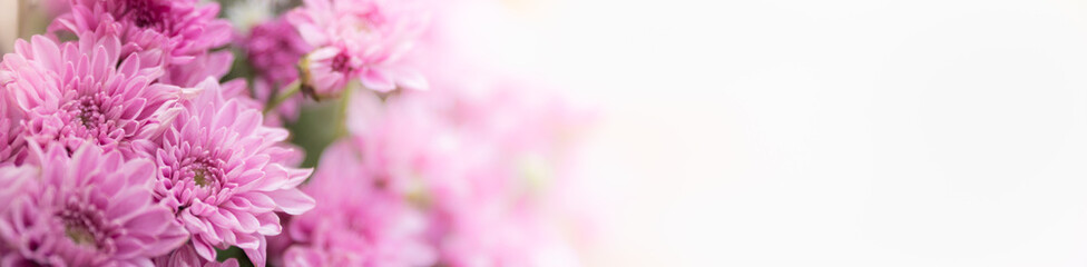 Nature of flower in garden using as cover page background natural flora wallpaper or template brochure landing page design