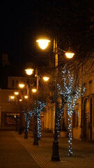 Lampki na drzewach w Żorach. Ozdoby na rynku w okresie świątecznym 2020 / 2021