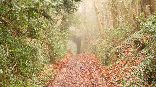 An old rustic bridge known as roman road. This is a pathway leading to the side of the bridge.
