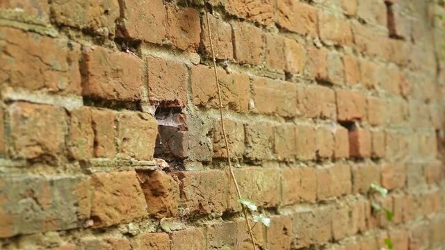 Red layed wall with indentations.