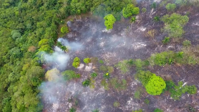 Aerial view over burnt nature a smoking deforestation area, lungs of earth on fire, wildfire in South America - Top down, drone shot