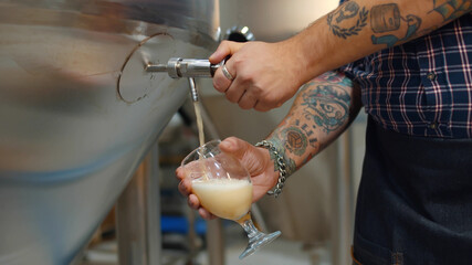 Brewer man and apron pouring beer in glass for quality control
