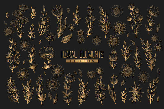 Collection of vector floral elements with gold hand drawn flowers, leaves branches and herbs isolated on black background. Vintage botanical illustration for print, fabric, wallpaper, card