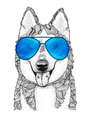 husky dog head hand drawn illustration. Doggy in blue sunglasses, isolated