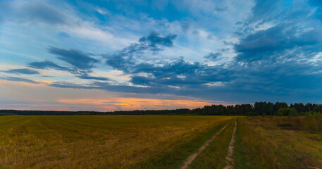 Sunset over the field and forest in summer