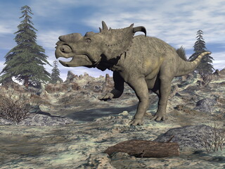 Fototapeta premium Pachyrhinosaurus dinosaur walking in a prehistoric landscape - 3D render