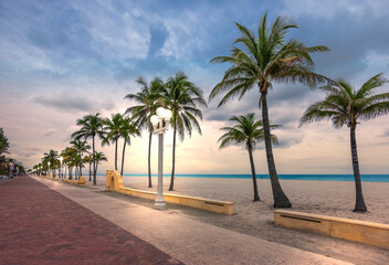 Fototapeta na wymiar Hollywood beach, Florida. Coconut palm trees on the beach and illuminated street lights on the broadwalk at dusk.