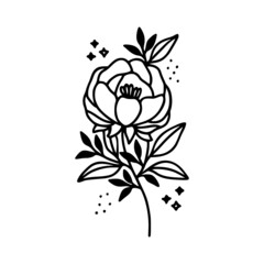 Hand drawn rose, peony flower and botanical leaf branch illustration. Black line art vector feminine logo. Symbol and icon for wedding, business card, cosmetics, jewel, brand, and beauty products