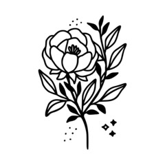 Hand drawn rose, peony flower and botanical leaf branch illustration. Black line art vector feminine logo. Symbol and icon for wedding, business card, cosmetics, jewel, brand, and beauty products