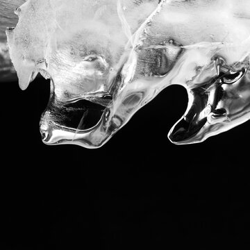 Black white photography ice texture macro view. Frozen water air bubbles. Transparent abstract shape object. Soft focus photo, copy space.