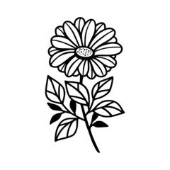 Hand drawn daisy, gerbera flower and botanical leaf branch illustration. Black line art vector feminine logo. Symbol and icon for wedding, business card, cosmetics, jewel, brand, and beauty products