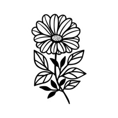 Hand drawn daisy, gerbera flower and botanical leaf branch illustration. Black line art vector feminine logo. Symbol and icon for wedding, business card, cosmetics, jewel, brand, and beauty products